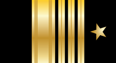 Файл:Погон США Кинкейд.png