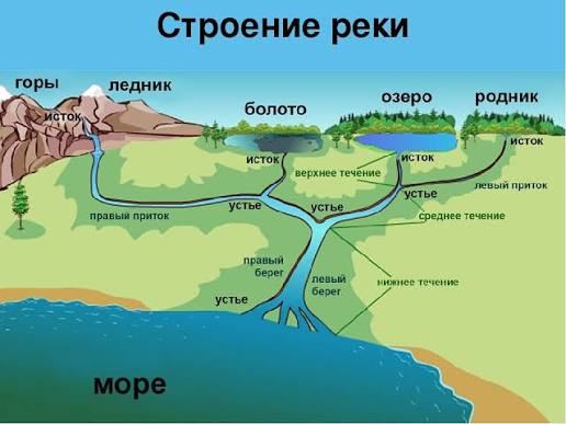 Файл:Прит.jpg