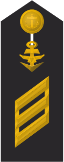 Файл:131px-MDS 14 Hauptgefreiter 50 L.svg.png