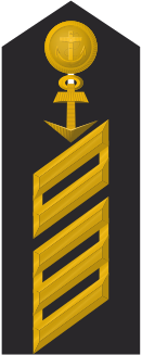 Файл:131px-MDS 16 Oberstabsgefreiter 70 L.svg.png