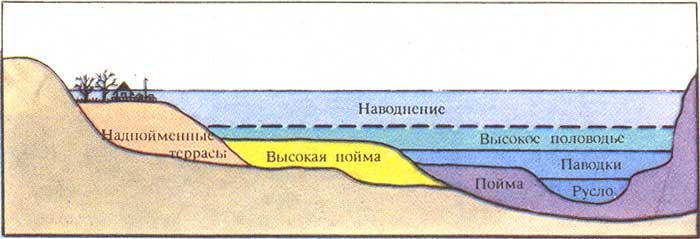 Файл:646+.jpg