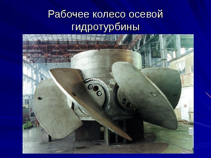 Файл:Ne7.jpg