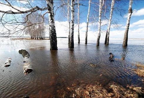 Файл:Polovode.jpg