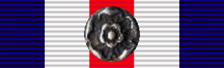 Файл:Ribbon - France and Germany Star & Rosette (старая вики).png