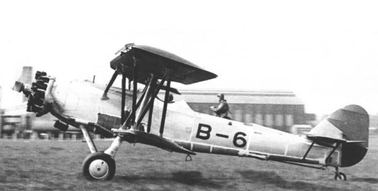 Файл:Shark-1.jpg