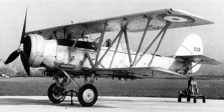 Файл:Shark-10.jpg