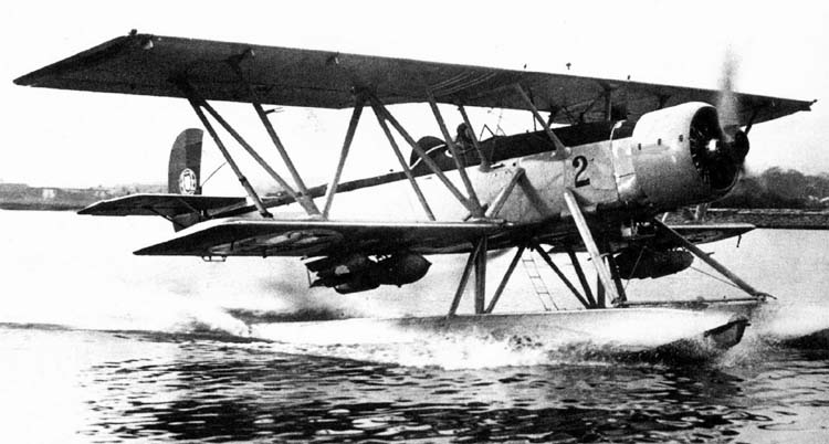 Файл:Shark-11.jpg