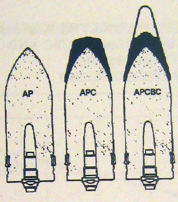 Файл:Shells.jpg