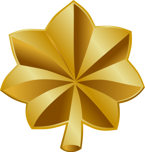 Файл:US-O4 insignia.png