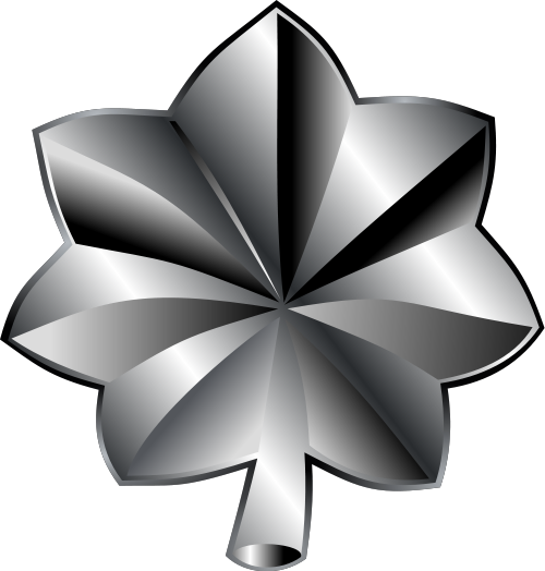 Файл:US-O5 insignia.png