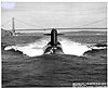 Woodrow Wilson sub