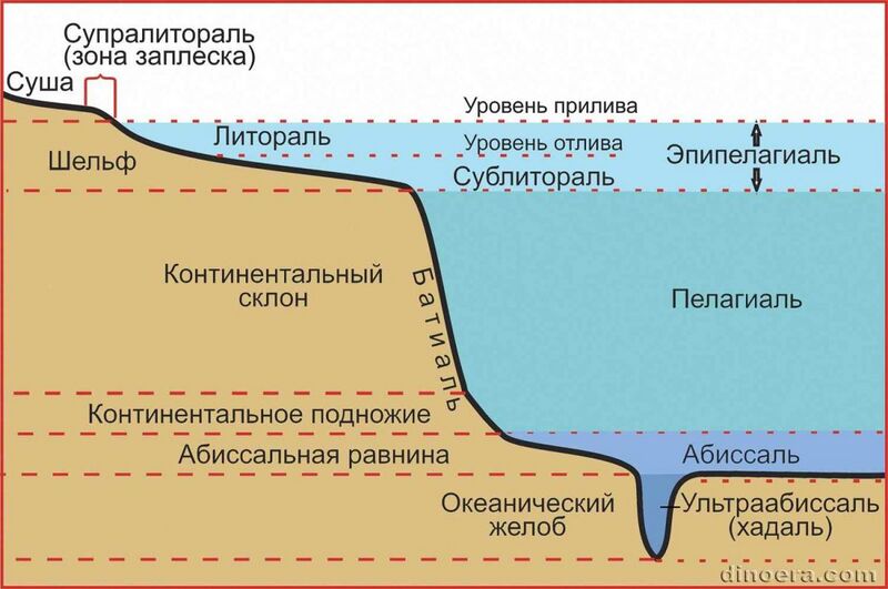 Файл:Абе0.jpg