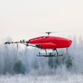 Миниатюра для версии от 16:21, 18 октября 2026