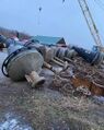 Миниатюра для версии от 08:17, 6 августа 2026