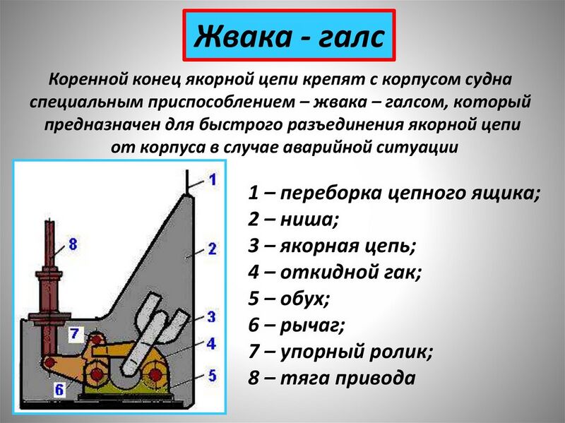 Файл:Жва0.jpg