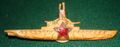 Знак «Командир подводной лодки» образца 1943 года, изготовлен с 1960 по 1980 год, заводом Победа. Аверс