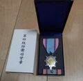 Знак Благодарность 5-й степени (соответствует планке Военной медали №11). Аверс
