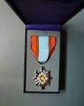 Знак Благодарность 4-й степени (соответствует планке Военной медали №9). Аверс