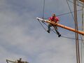 Миниатюра для версии от 09:24, 16 июня 2026
