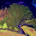 Миниатюра для версии от 09:07, 22 июля 2026