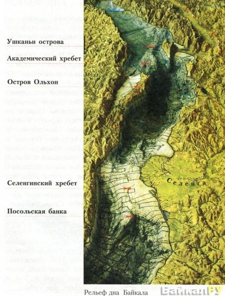 Файл:Реф.jpg