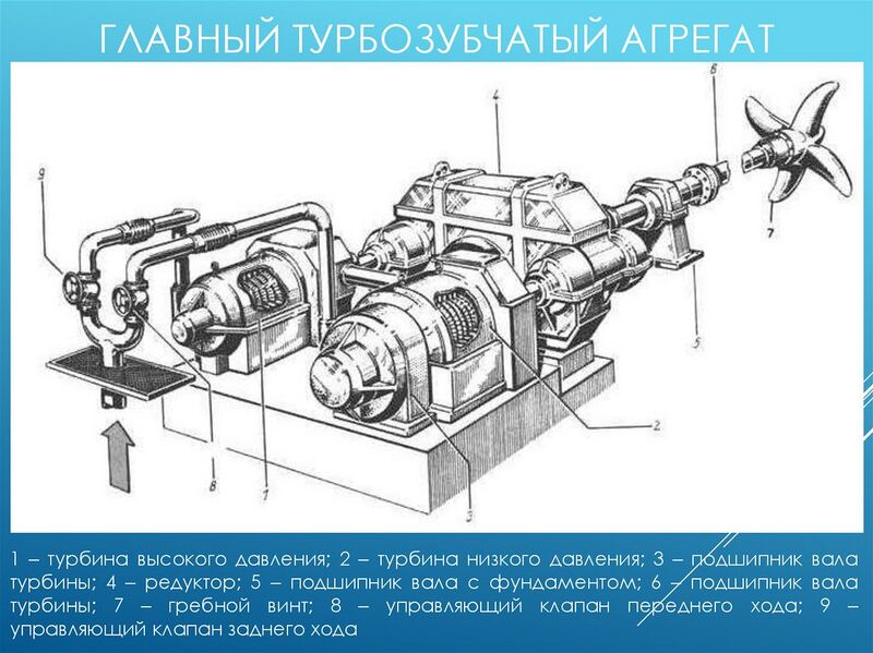 Файл:Тза.jpg