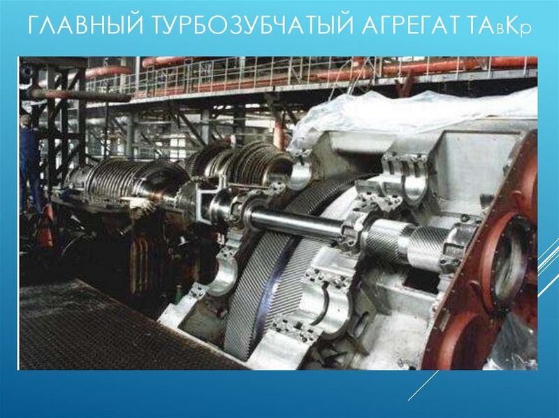 Файл:Тза2.jpg