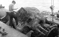 Башня 41-К, поднятая с затонувшего монитора «Ударный»