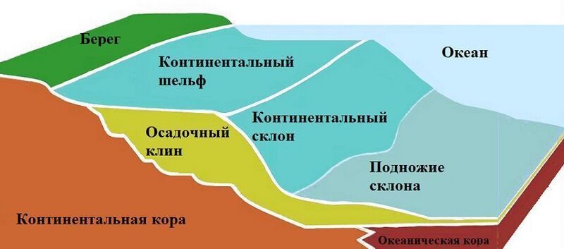 Файл:Шел.jpg