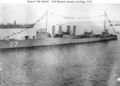USS Woolsey, 1919 г.