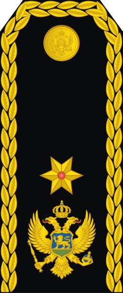 Файл:16-Montenegro Navy-CDRE.png