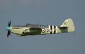 Fairey Firefly Mk IV in Flight (2002)