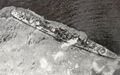IJN Asashimo, 1945