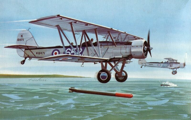 Файл:Blackburn-shark-1-72-amt-frog-3.jpeg