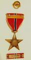 Бронзовая звезда, планка и знак для ношения на гражданской одежде. Реверс.
