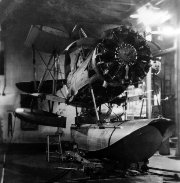 Файл:Brooklyn 16.jpg