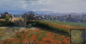 Внешний вид растительности