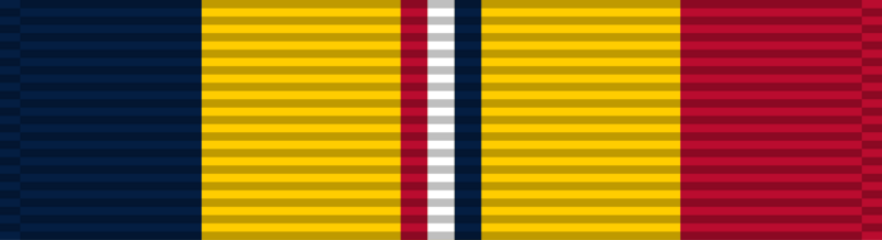 Файл:Combat Action Ribbon.svg.webp