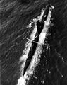Вертолёт Sikorsky HSS-1 Seabat на палубе подводной лодки USS Corporal (SS-346), 1956 год