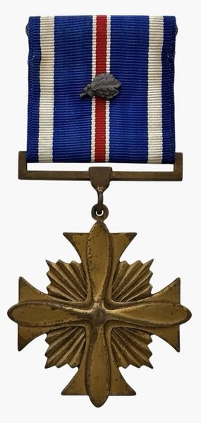 Файл:Distinguished Flying Cross 7.jpg