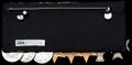 Комплект наград которые принадлежали адмиралу-флота Теренсу Торнтону Левину (Terence Thornton Lewin; 1920-1999). Реверс. Из коллекции Национального Морского Музея в Гринвиче