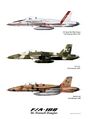 F/A-18B — двухместный учебно-боевой вариант F/A-18A.