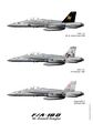 F/A-18D — двухместный учебно-боевой вариант F/A-18C.