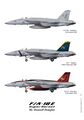 F/A-18E Super Hornet — дальнейшее развитие варианта F/A-18C.