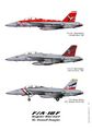F/A-18F Super Hornet — дальнейшее развитие варианта F/A-18D.