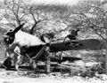 Brewster F2A-3 Buffalo из состава Корпуса Морской Пехоты США, Гавайи, май 1942 года.