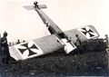 Fokker E.III LF 196 (w/n 480) на котором летал Готтхард Заксенберг, после капотирования. Мариакерке в Бельгии ноябрь 1915 года.