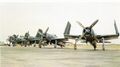 F8F пилотажной группы Blue Angels