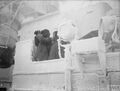 HMS Sheffield во время сопровождения арктических конвоев. Декабрь 1941 года
