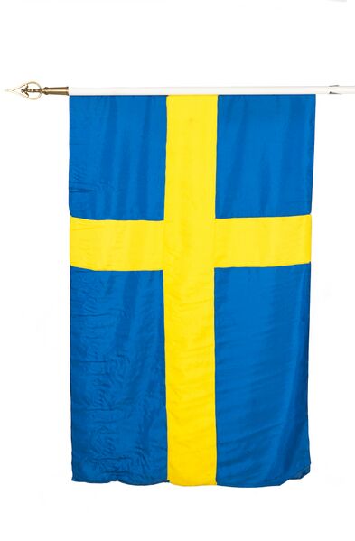 Файл:Hswms remus flag.jpg